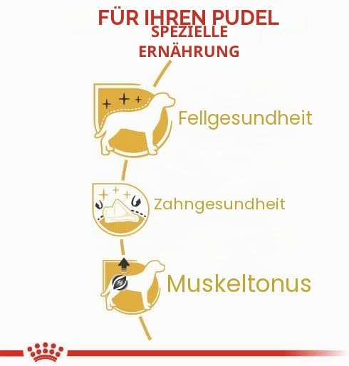 Royal Canin Poodle Erwachsene Hundefutter, 3 Kg