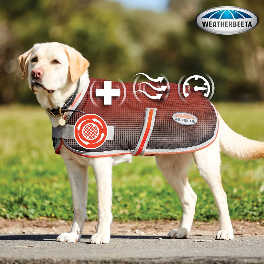Weatherbeeta 2022 Comfitec 1200D Therapy-Tec Dog Coat 1000867 - Black/Silver/Red 45, 45