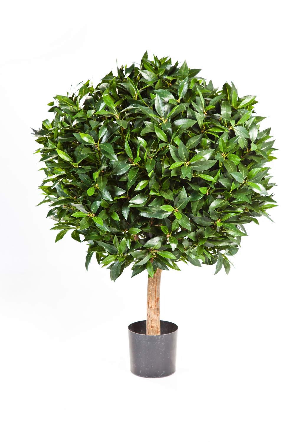 artplants.de Kunstbaum Lorbeer Kugel Tiberius, Echtstamm, Früchte, 60cm, Ø 50cm - Kunstpflanze Lorbe