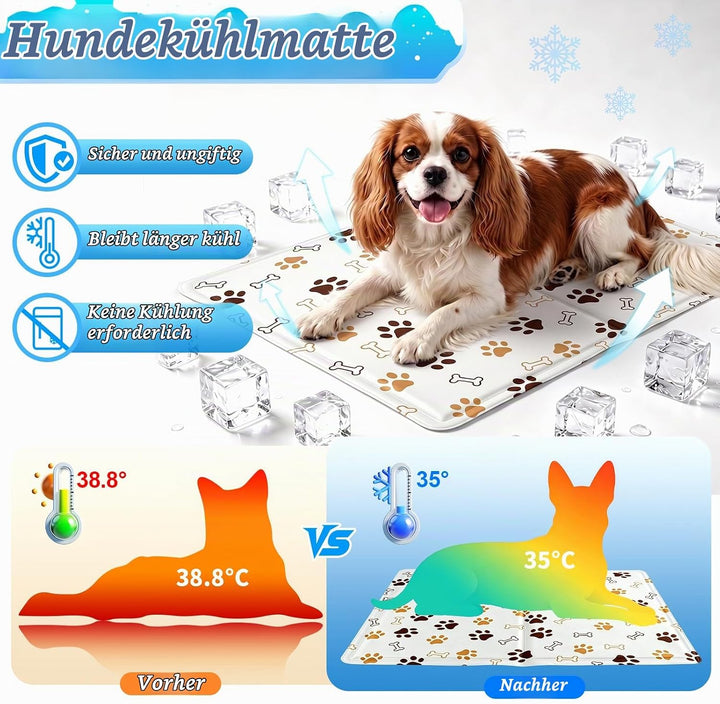Kühlmatte für Hunde &amp; Katzen Faltbare, Kühlmatte Hund 50 x 40 cm, Kühldecke für Haustiere Leicht Rei