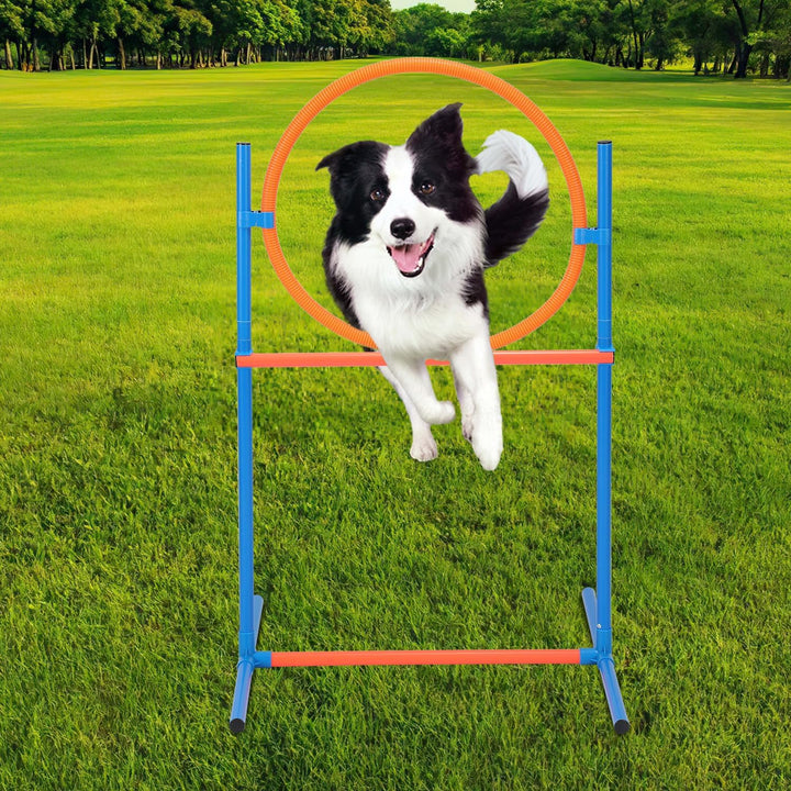 Hunde Agility Trainingsset mit Tunnel und Sprungstange