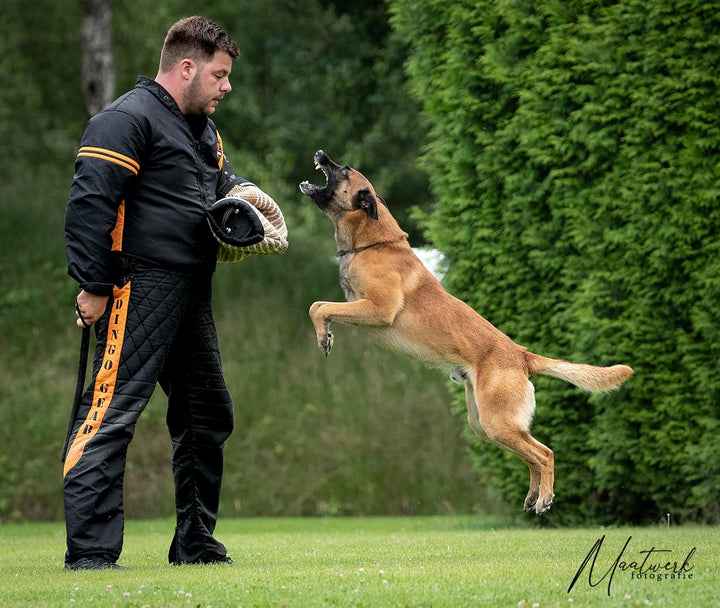 Dingo Gear Trainingsanzug für IGP Sports Agitation Köder XL Lichtschutz Orange, XL Lichtschutz Orang