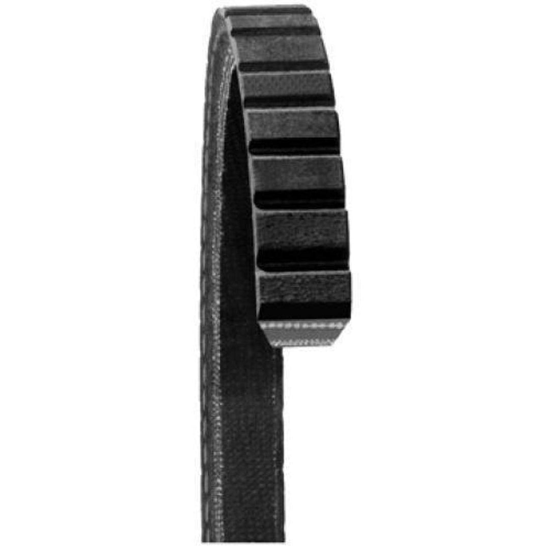 Dayco 15545 Keilriemen
