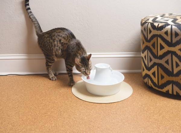 PetSafe Drinkwell Keramik-Trinkbrunnen Avalon, Gefiltertes Trinkwasser für Hunde und Katzen, 2 L Was