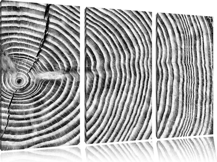 Pixxprint Baumstamm Jahresringen / 3-Teilig/Gesamtmass 120cm Leinwandbild bespannt auf Holzrahmen/Wa