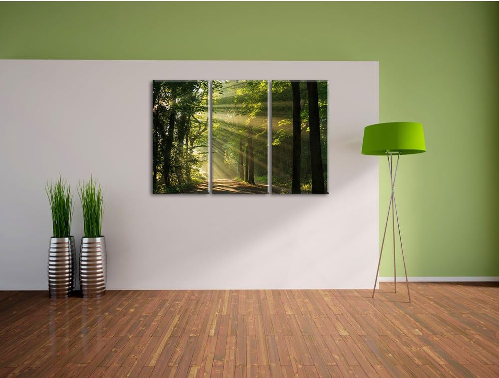 Pixxprint Waldweg im Frühling als Leinwandbild/Grösse: 3 Teilig (120x80) cm/Wandbild/Kunstdruck/fert