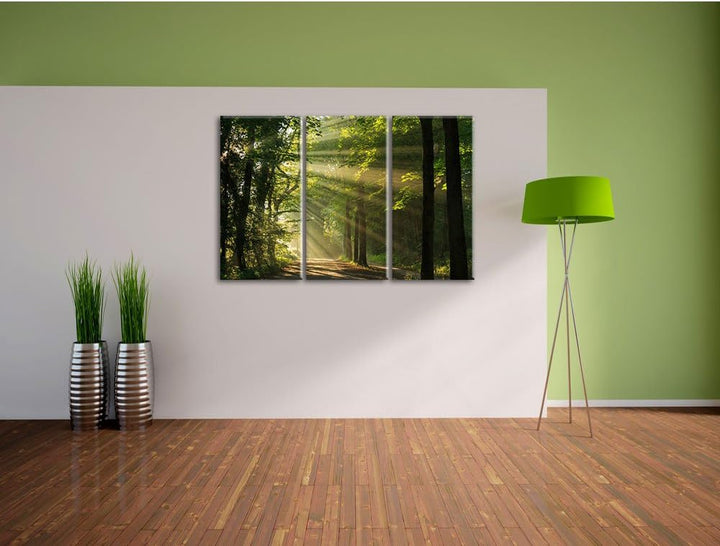 Pixxprint Waldweg im Frühling als Leinwandbild/Grösse: 3 Teilig (120x80) cm/Wandbild/Kunstdruck/fert