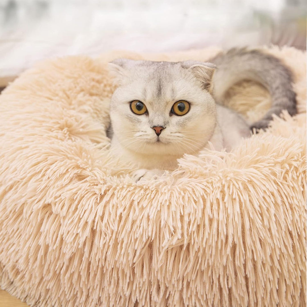 Nisrada Katzenbetten für Indoor-Katzen, 50cm, Hundebett für kleine Melium-grosse Hunde, waschbares,