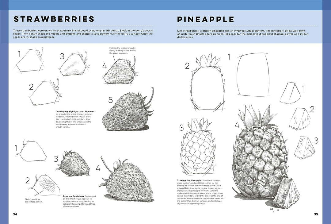 The Art of Basic Drawing: Simple step-by-step techniques for drawing a variety of subjects in graphi