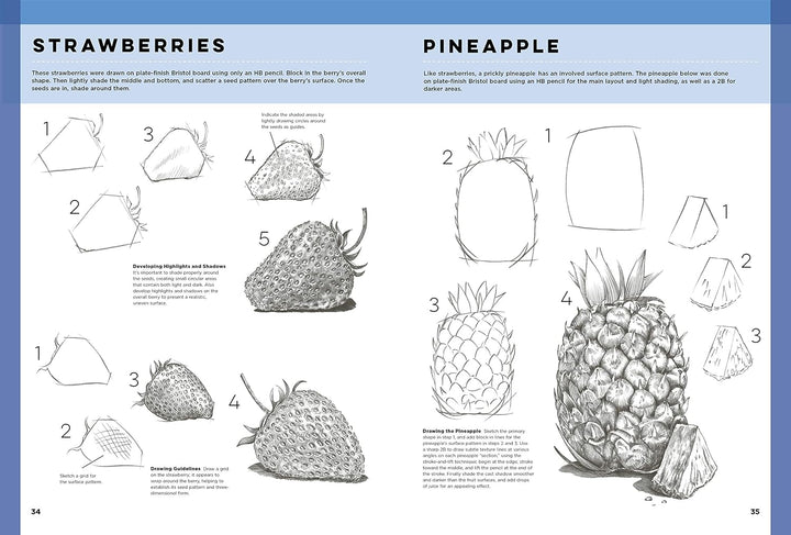 The Art of Basic Drawing: Simple step-by-step techniques for drawing a variety of subjects in graphi