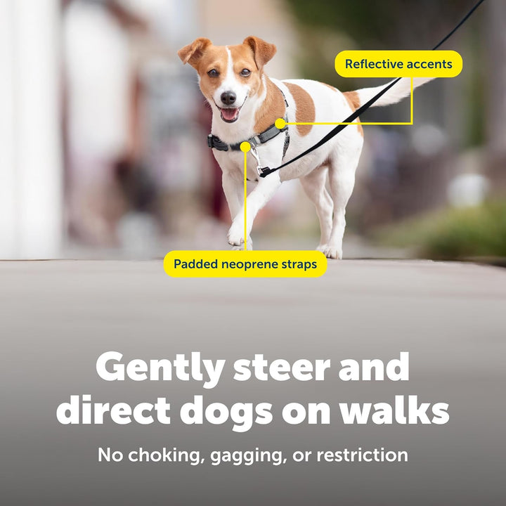 PetSafe Deluxe Easy Walk Hundegeschirr Meer Small, Meer Small