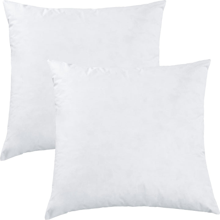 Erwin Müller Kissenfüllung Riga 2er-Pack 100% Federn weiss Grösse 60x60 cm Weiss 60x60 cm, Weiss 60x