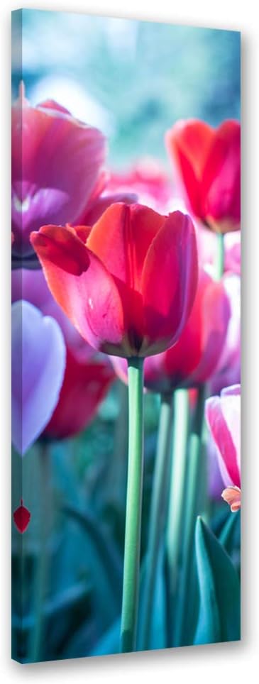 Leinwandbild XXL Tulpen Wandbild Kunst Garten Rot 60x150 cm Leinwandbild 60x150 cm Rot_a, Leinwandbi