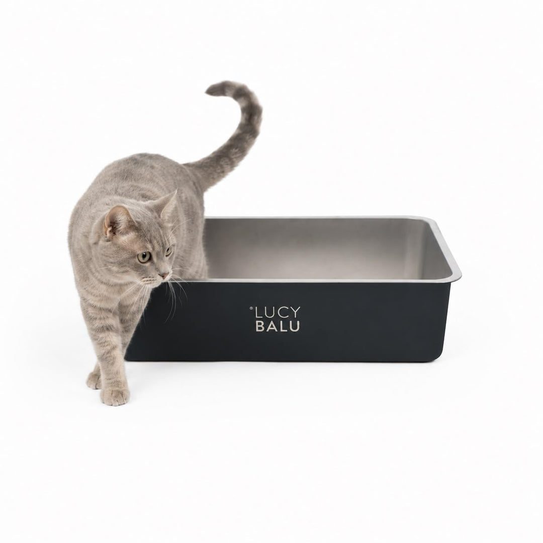LucyBalu® STEELOO Katzenklo aus Edelstahl I XXL Katzentoilette ohne Deckel mit hop-in Oben-Einstieg