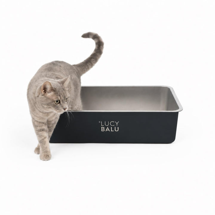 LucyBalu® STEELOO Katzenklo aus Edelstahl I XXL Katzentoilette ohne Deckel mit hop-in Oben-Einstieg