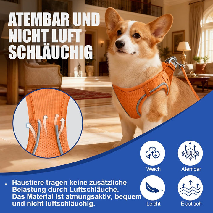 Hundegeschirr Mit Leine, Verstellbares Welpengeschirr Katzengeschirr, Reflektierendes Hundegeschirr