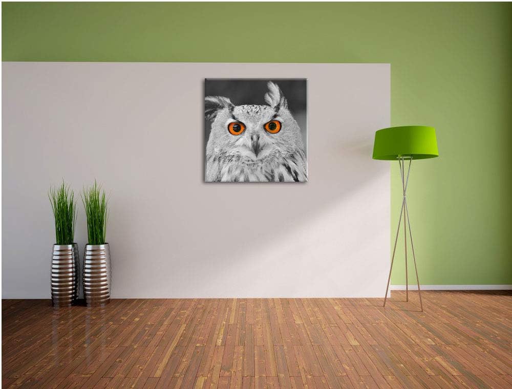 Pixxprint süsser Eulen Kauz schwarz/weiss, Format: 70x70 auf Leinwand, 70x70