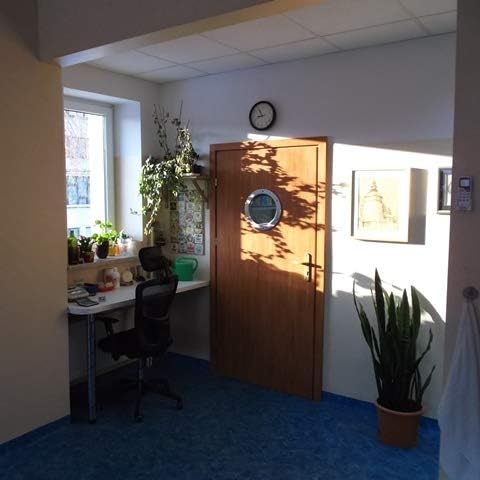 Bullauge Fenster für Tür Edelstahl INOX 350mm Glas transparent Muttern Flansch