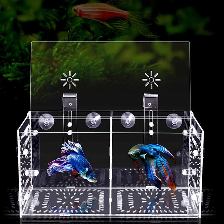 Pssopp Aquarium Zuchtbox Fischsämlinge Inkubator Aquarium Isolationsbox Aquarium Brutbrut Fischteile