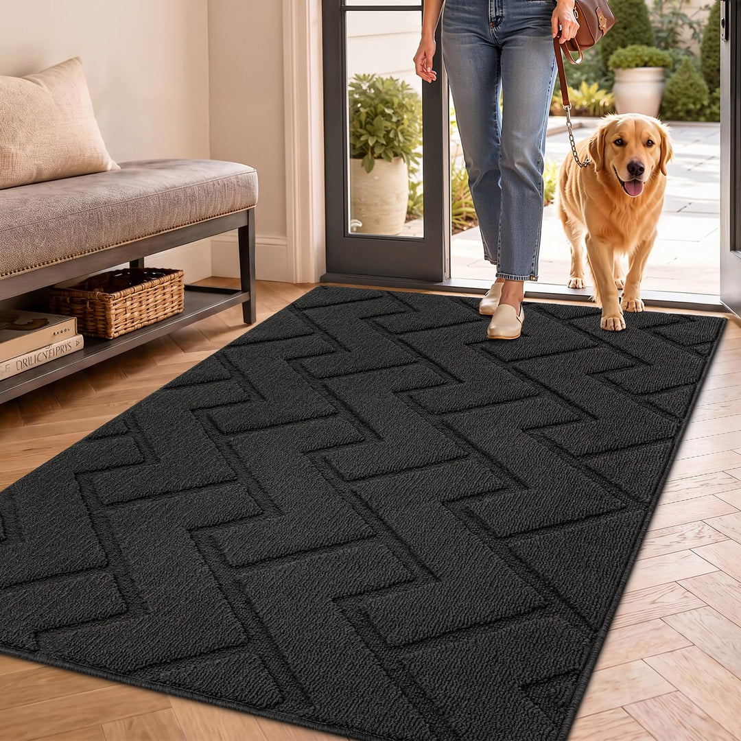 Biscpro Fussmatte Schmutzfangmatte 90x150cm Innen und Aussen, Waschbar Fussmatte, Wasserdicht Türmat