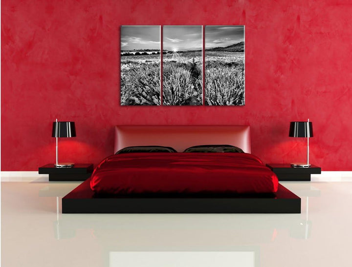 Pixxprint Lavendelfeld in Frankreich als Leinwandbild/Grösse: 3 Teilig (120x80) cm/Wandbild/Kunstdru