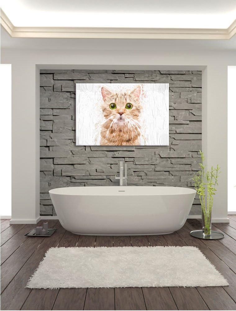 Pixxprint Katze Scottish Straight / 100x70cm Leinwandbild bespannt auf Holzrahmen/Wandbild Kunstdruc