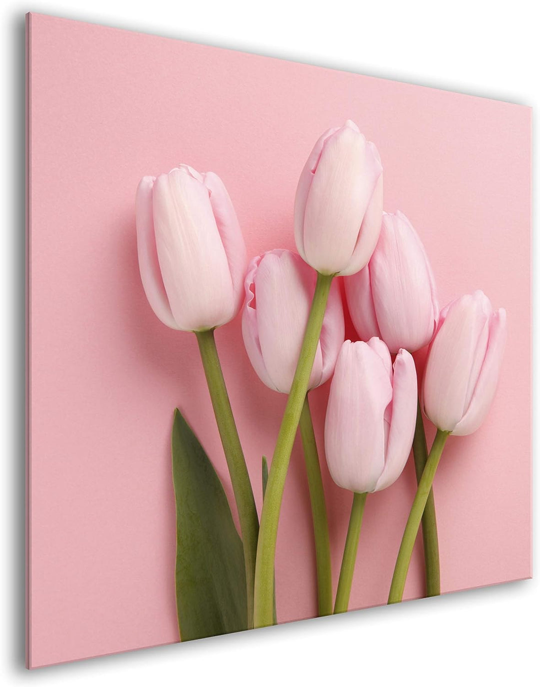 murando Spritzschutz Glas für Küche 60x60 cm Küchenrückwand Küchenspritzschutz Fliesenschutz Glasbil