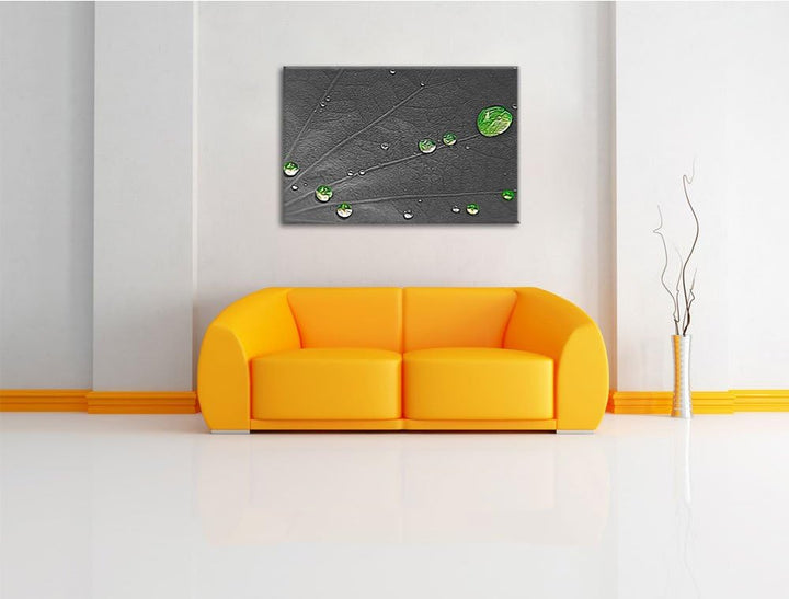 winzige Wassertropfen auf grünem Blatt schwarz/weiss Deluxe Format: 100x70 cm auf Leinwand, XXL ries