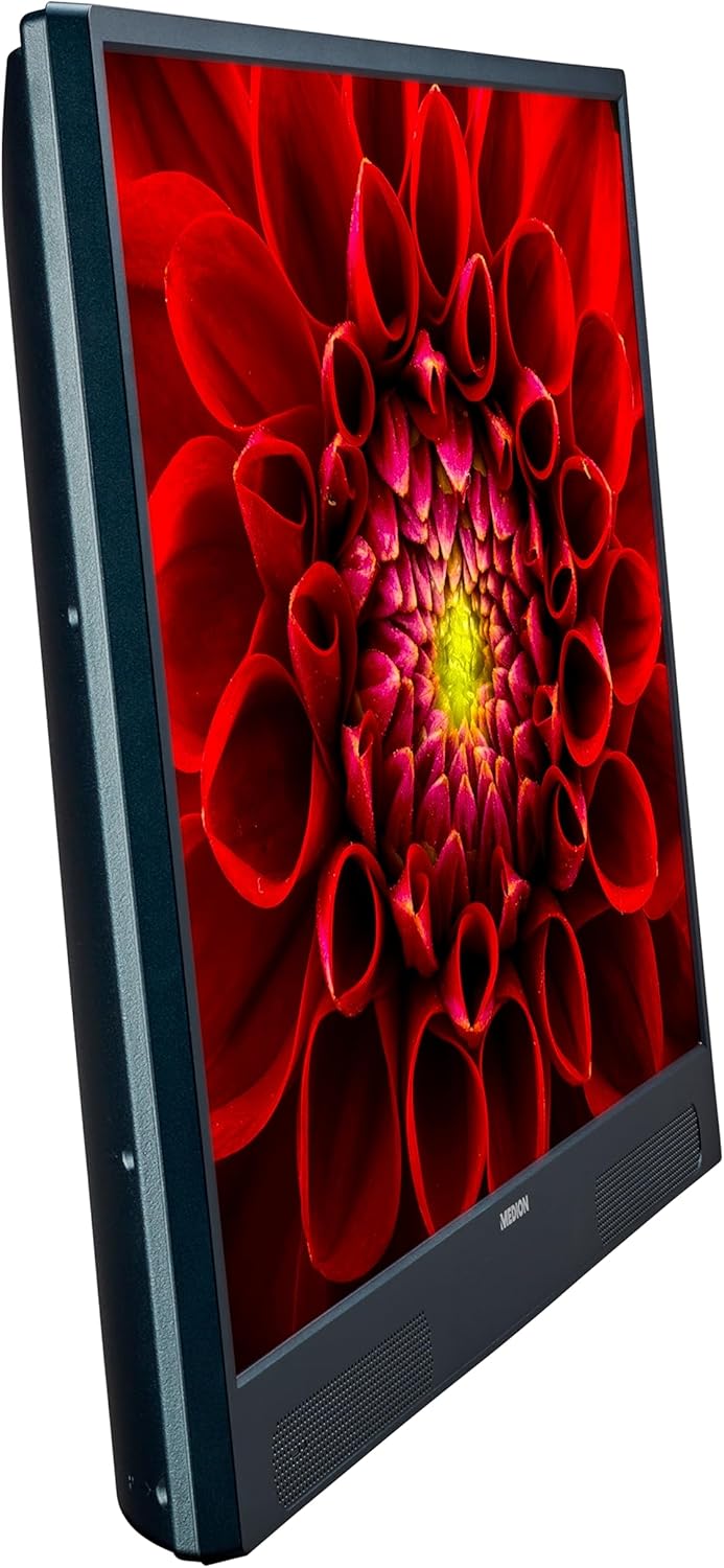 MEDION S13212 (MD 32132) 80 cm (32" Zoll) mobiler tragbarer Full HD Fernseher (mit Akku und Ständer,