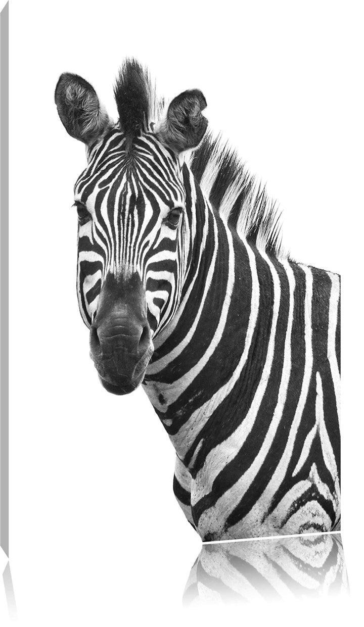 Pixxprint Zebra im Portrait auf Leinwand, XXL riesige Bilder fertig gerahmt mit Keilrahmen, Kunstdru