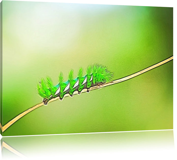 seltene grüne Raupe Deluxe Format: 100x70 cm auf Leinwand, XXL riesige Bilder fertig gerahmt mit Kei