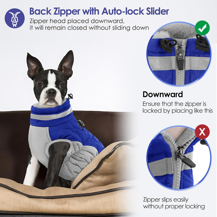 AOFITEE Hundejacke Kleine Hunde, Wasserdicht Hunde Wintermantel Warm Hundemantel mit Geschirr, Rollk