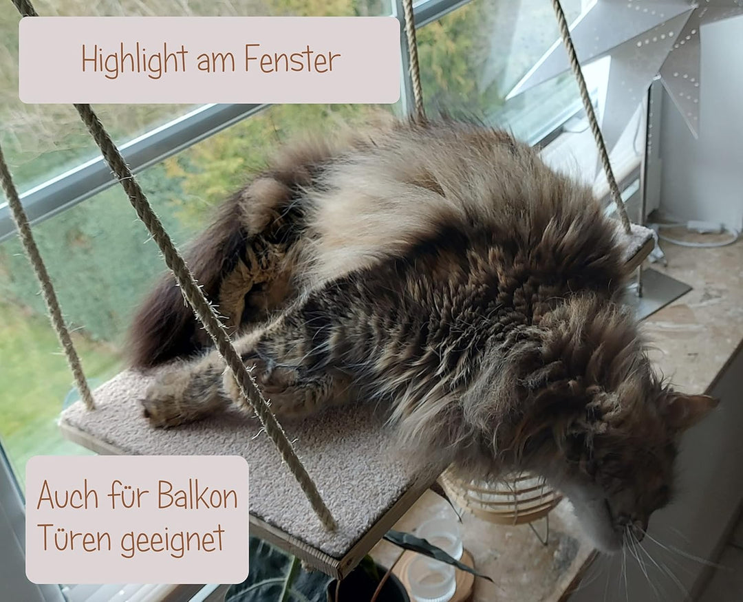 CapriCorner Katzen Fensterliege, kein Herunterfallen Dank Sisalseile, Holz statt Plastik - Neuer Fen