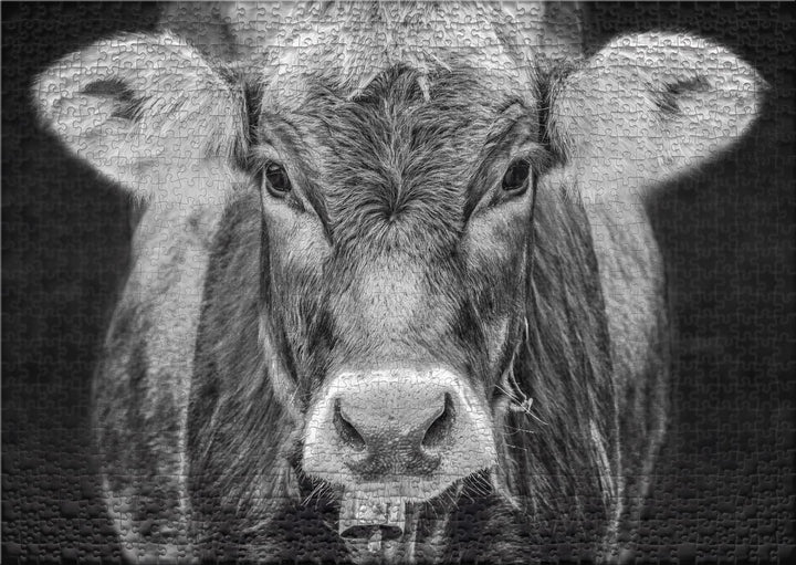 Ulmer Puzzleschmiede - Puzzle „Allgäu“ - Originelles 1000 Teile Kuh-Puzzle – Portrait der Kuh als st