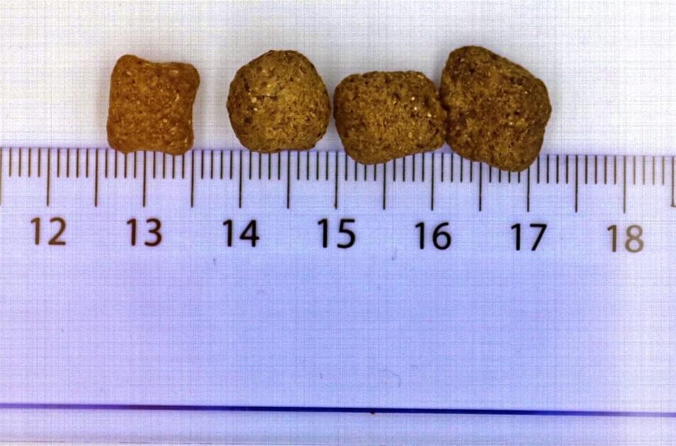 My Pet Club Insekten (1 x 8 kg) getreidefreies Hundefutter sensitiv I 33% Insekten Anteil I hypoalle