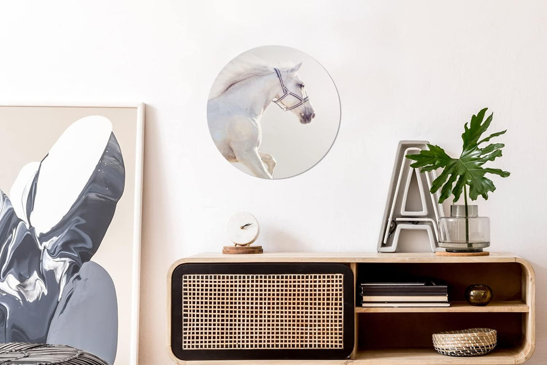 Wandbild Rund Wanddeko Deko Wohnzimmer Bilder 30x30 cm Pferd - Weiss - Mähne, 30x30 cm