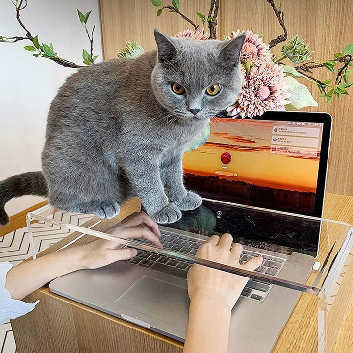 Anti-Katze Klare Acryl-Tastaturabdeckung, Verhindern Sie DASS Katzen Die Tastatur Berühren，Tastatur