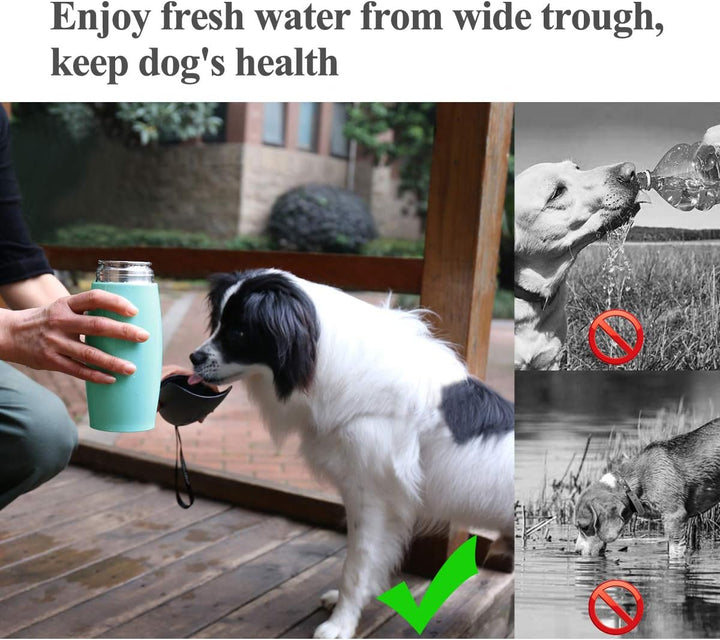 VIVAGLORY Pawhike Hundetrinkflasche, Hunde Trinkflasche für Unterwegs, Hundetrinkflasche, Edelstahl