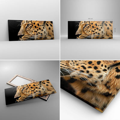 Bilder auf Leinwand 100x40cm Leinwandbild Tiere Leopard wilde Katze wilde Tiere Gross Wanddeko Bild