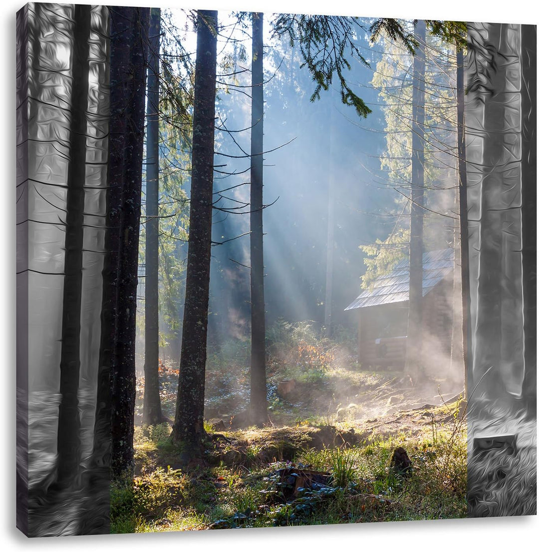 Pixxprint Häuschen im Wald mit Sonnenstrahlen schwarz/weiss, Format: 70x70 als Leinwandbild, 70x70