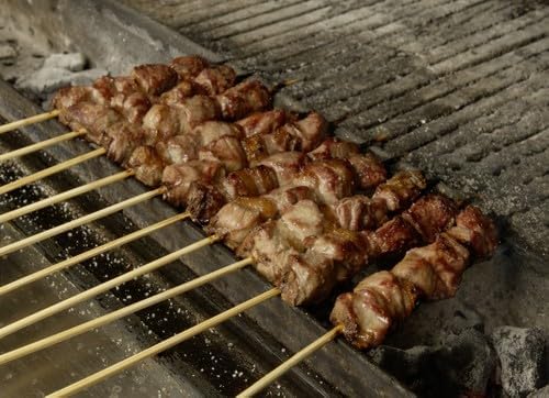 Fabermec Barbecue Spiesschengrill Holzkohlegrill für Fleischspiesschen, Würstchen, Spiesse 110 cm au