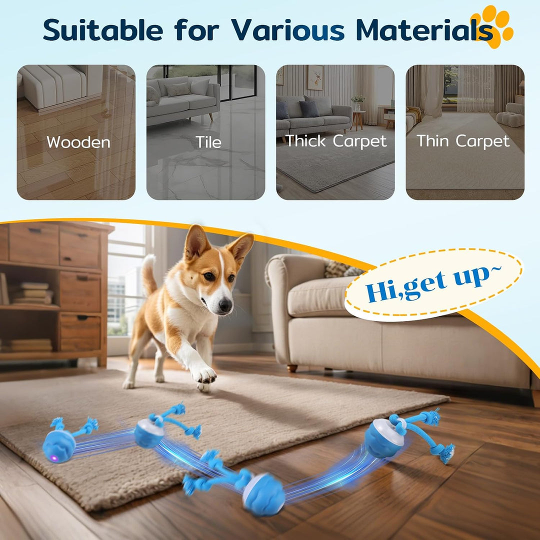 Interaktiver Ball, Rollt &amp; Springt, USB-C, für kleine Hunde blau, blau