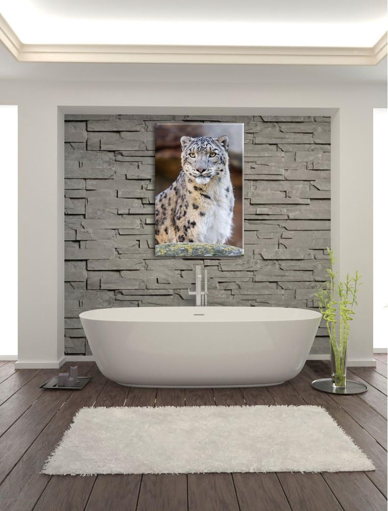 Pixxprint wachsame Schneeleopardin auf Leinwand, XXL riesige Bilder fertig gerahmt mit Keilrahmen, K