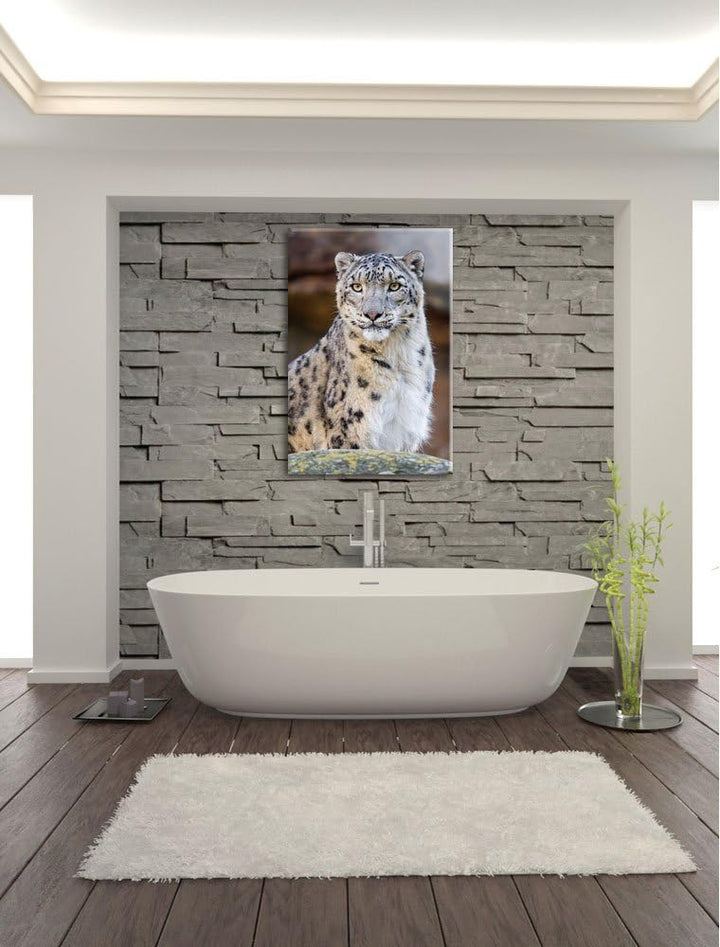 Pixxprint wachsame Schneeleopardin auf Leinwand, XXL riesige Bilder fertig gerahmt mit Keilrahmen, K