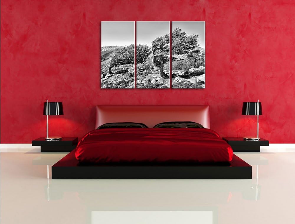 Pixxprint Schiefer Baum / 3-Teilig/Gesamtmass 120cm Leinwandbild bespannt auf Holzrahmen/Wandbild Ku