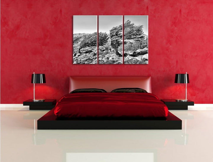Pixxprint Schiefer Baum / 3-Teilig/Gesamtmass 120cm Leinwandbild bespannt auf Holzrahmen/Wandbild Ku