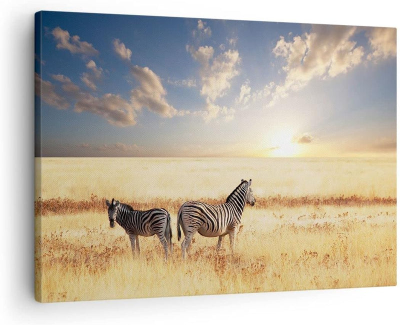 Bilder auf Leinwand Zebra tier gestreift savanne Leinwandbild 70x50cm Wandbilder Dekoration Wohnzimm