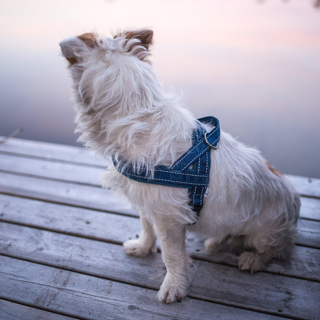 Hurtta Casual Padded Dog Harness, Lingon, 14 in Lingon 12-14", Lingon 12-14"