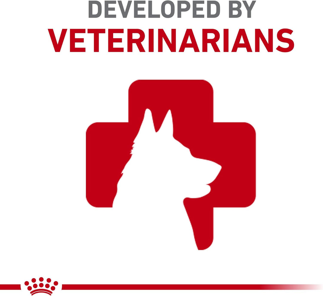Royal Canin Dry Dog Food, Dachshund Formula, 10-Pound Bag by Royal Canin