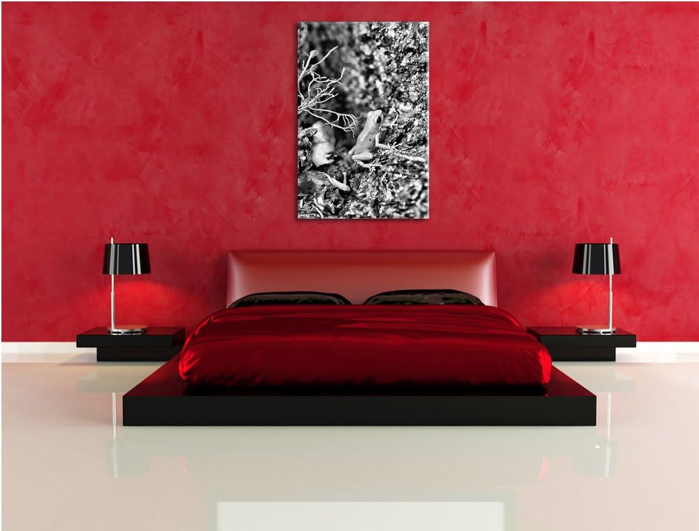 Pixxprint hochgiftiger Kleiner Frosch als Leinwandbild/Grösse: 100x70 cm/Wandbild/Kunstdruck/fertig